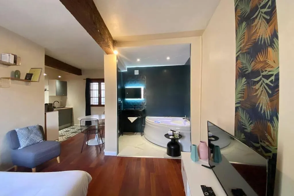 Appartamento L'Alcove Spa - Toulouse Hypercentre Francia